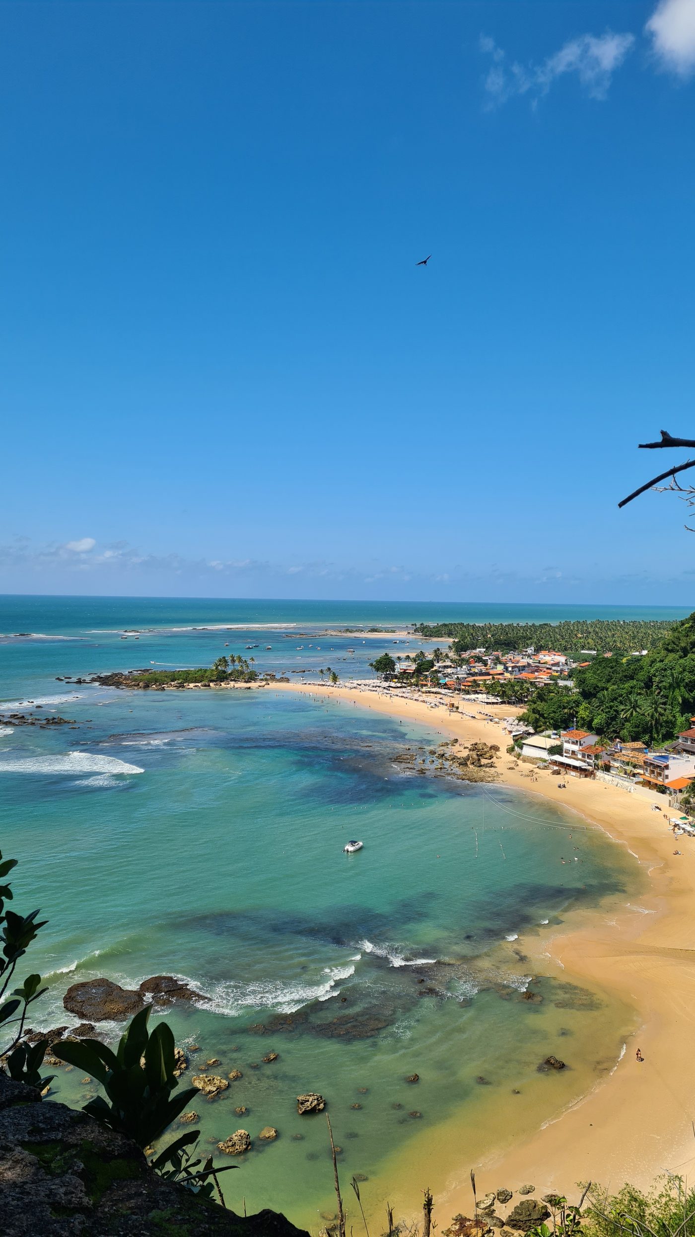Praia de areia branca com coqueiros e mar turquesa