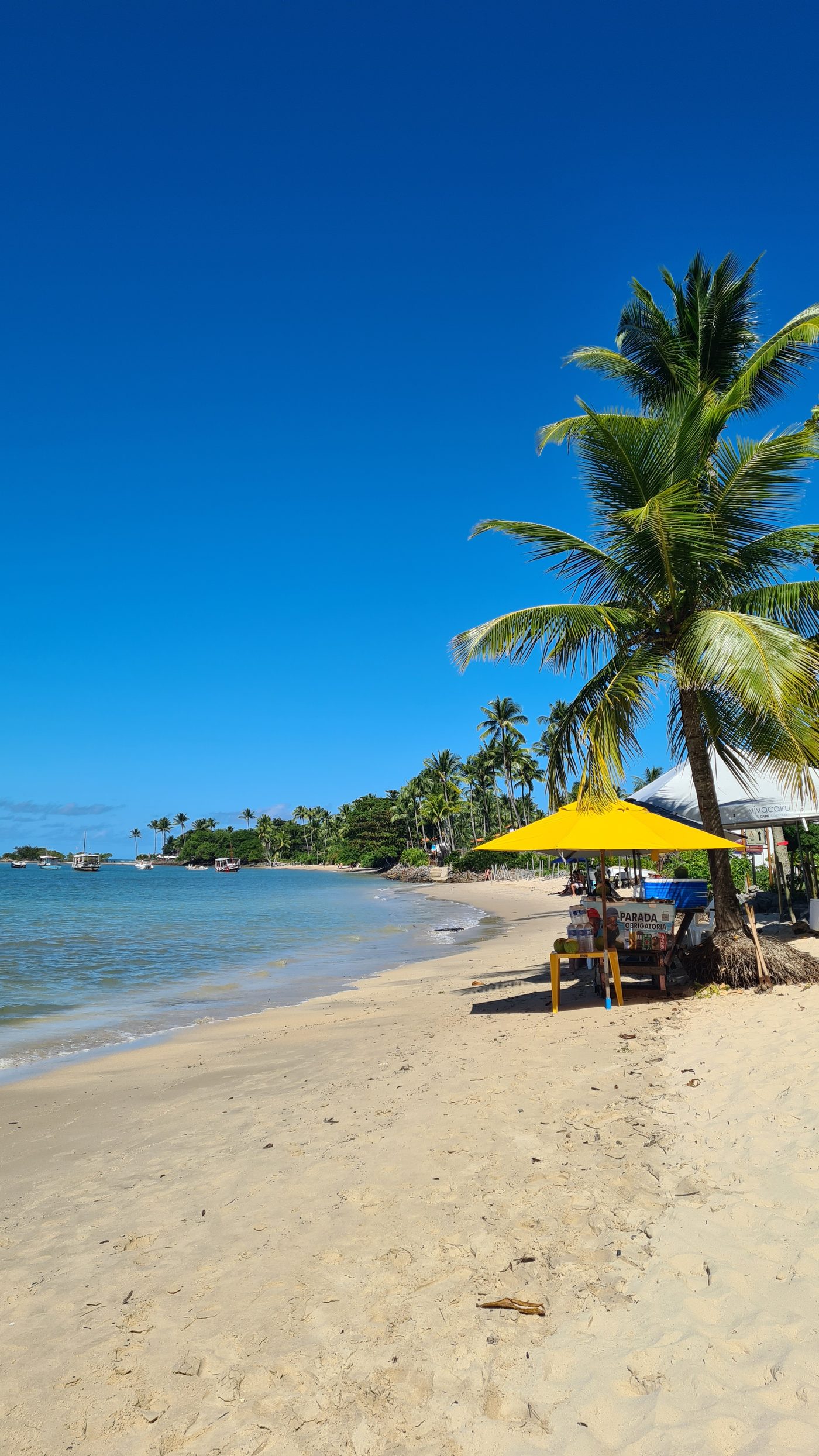 Praia de areia branca com coqueiros e mar turquesa